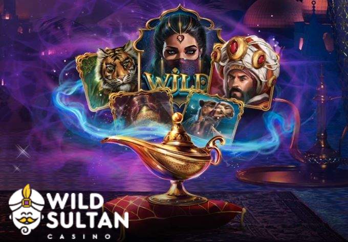 Notre avis final sur Wild Sultan