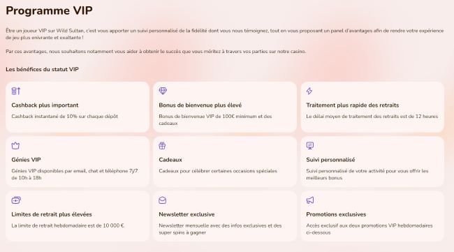 Comment fonctionne Wild Sultan ? le programme VIP